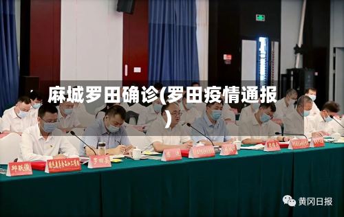 麻城罗田确诊(罗田疫情通报)