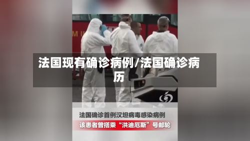 法国现有确诊病例/法国确诊病历-第3张图片