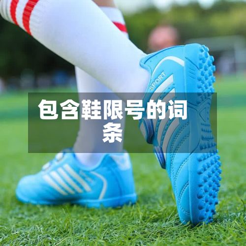 包含鞋限号的词条-第2张图片