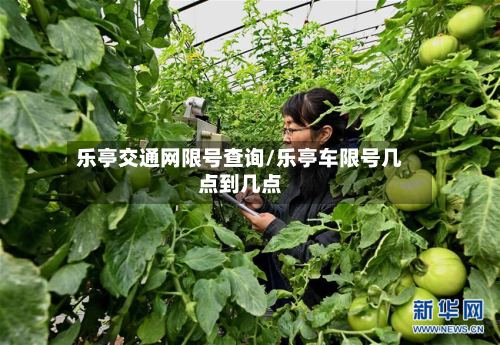 乐亭交通网限号查询/乐亭车限号几点到几点-第2张图片