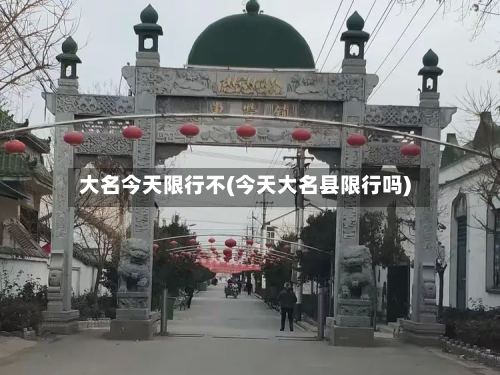 大名今天限行不(今天大名县限行吗)-第2张图片